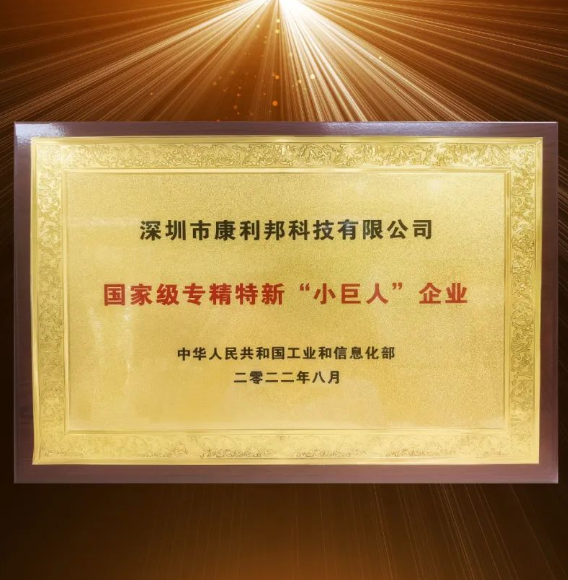 國家工信部頒發的國家級專精特新“小巨人”